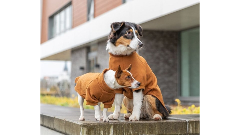 Trixie Amsterdam Sweatshirt Rust