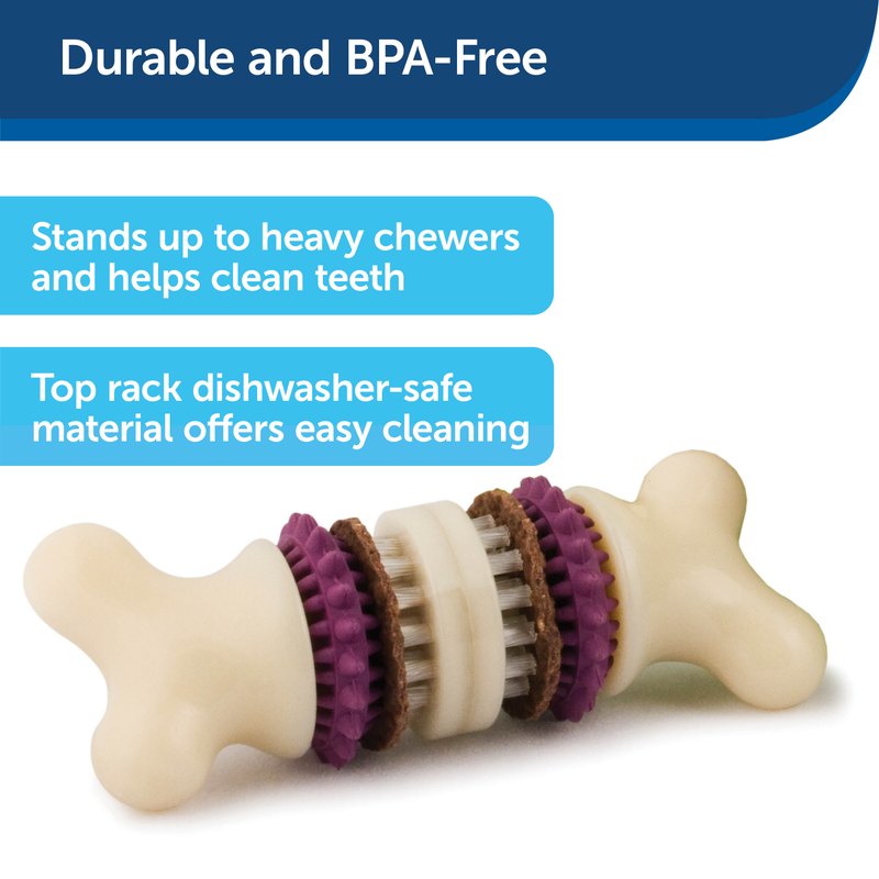 Petsafe Busy Buddy Bristle Bone