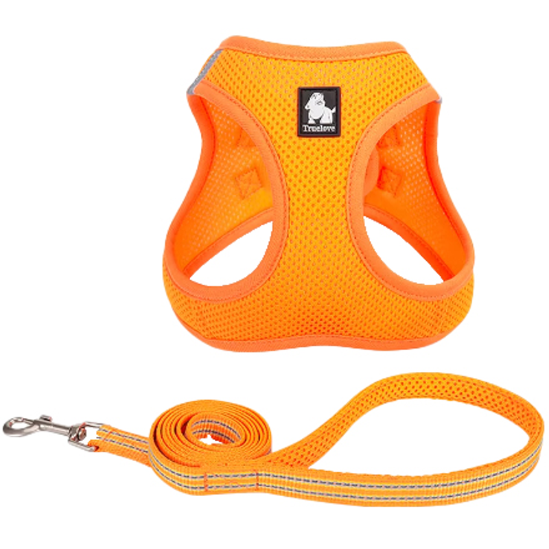 TrueLove Mesh Harness & Lead Set Flouro Orange