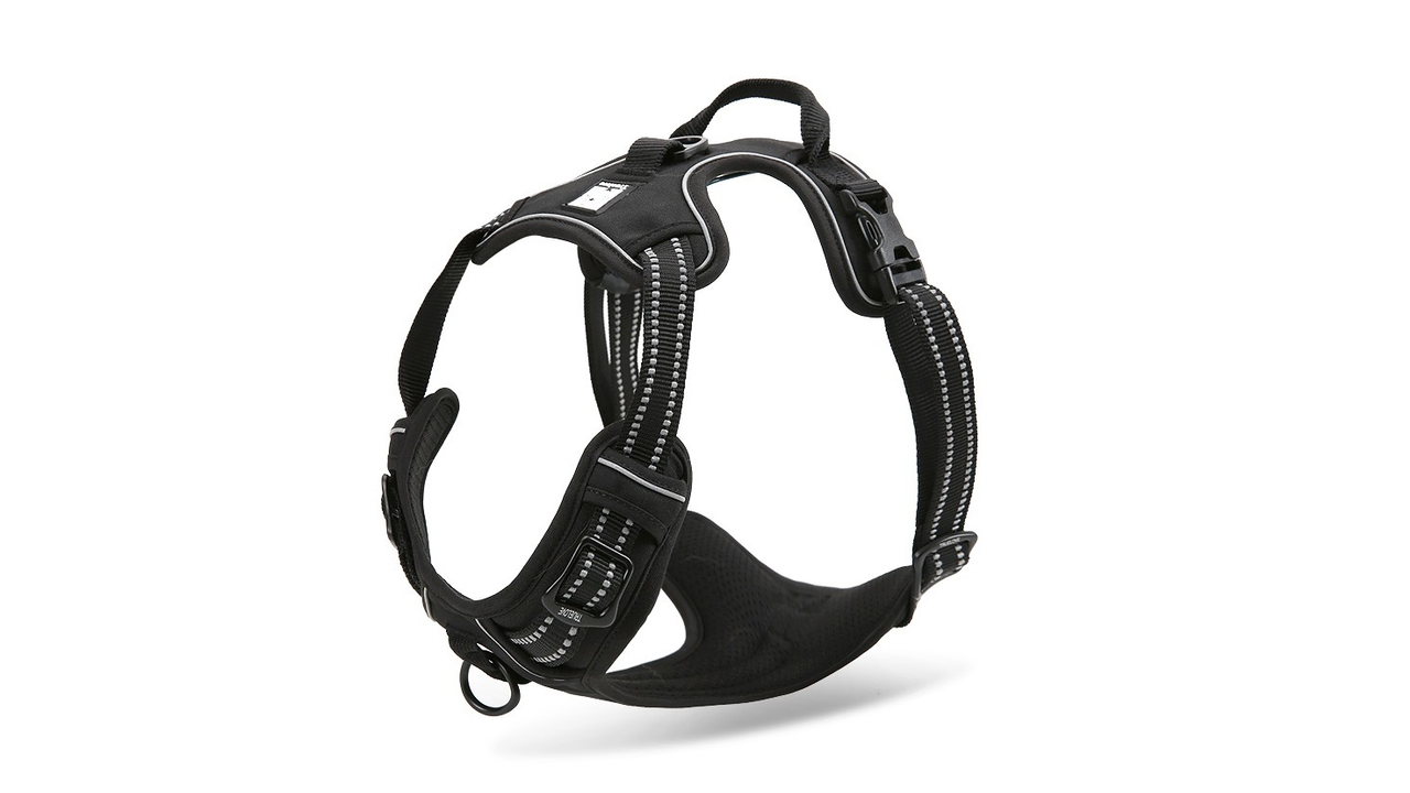 TrueLove Deluxe Mesh Harness Black