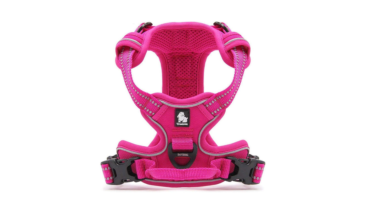 TrueLove Deluxe Mesh Harness Fuchsia