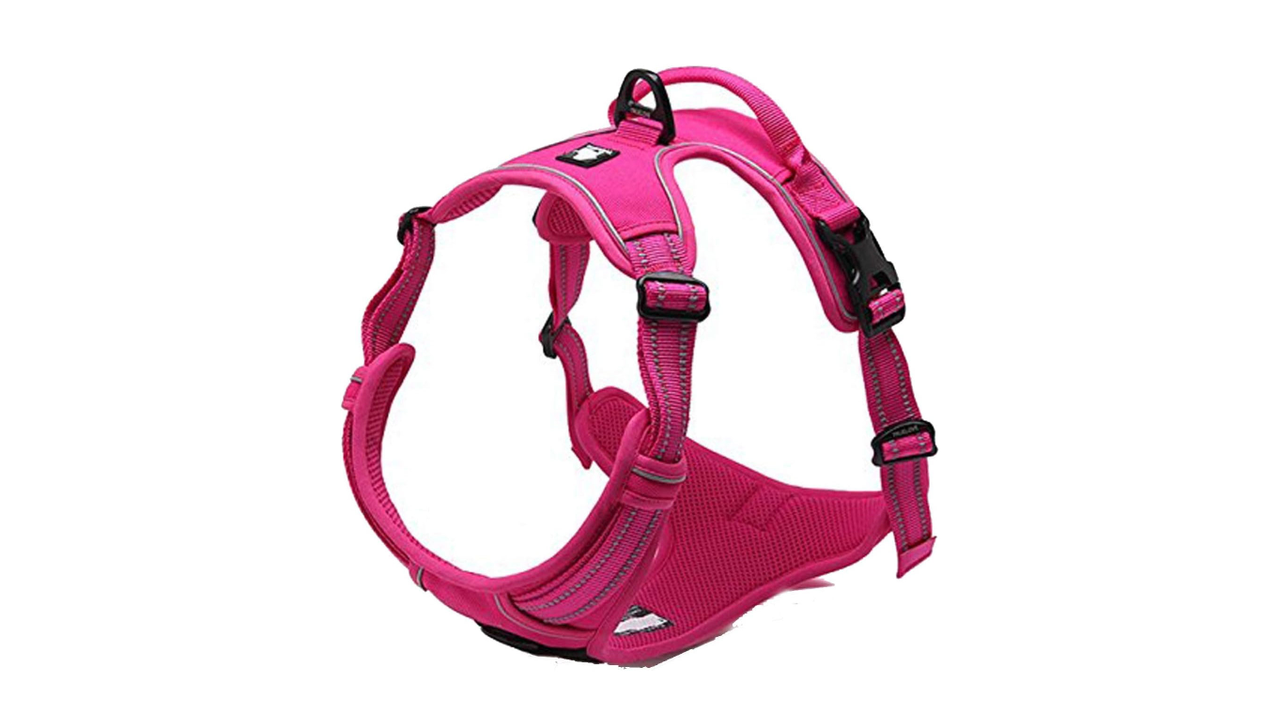 TrueLove Deluxe Mesh Harness Fuchsia