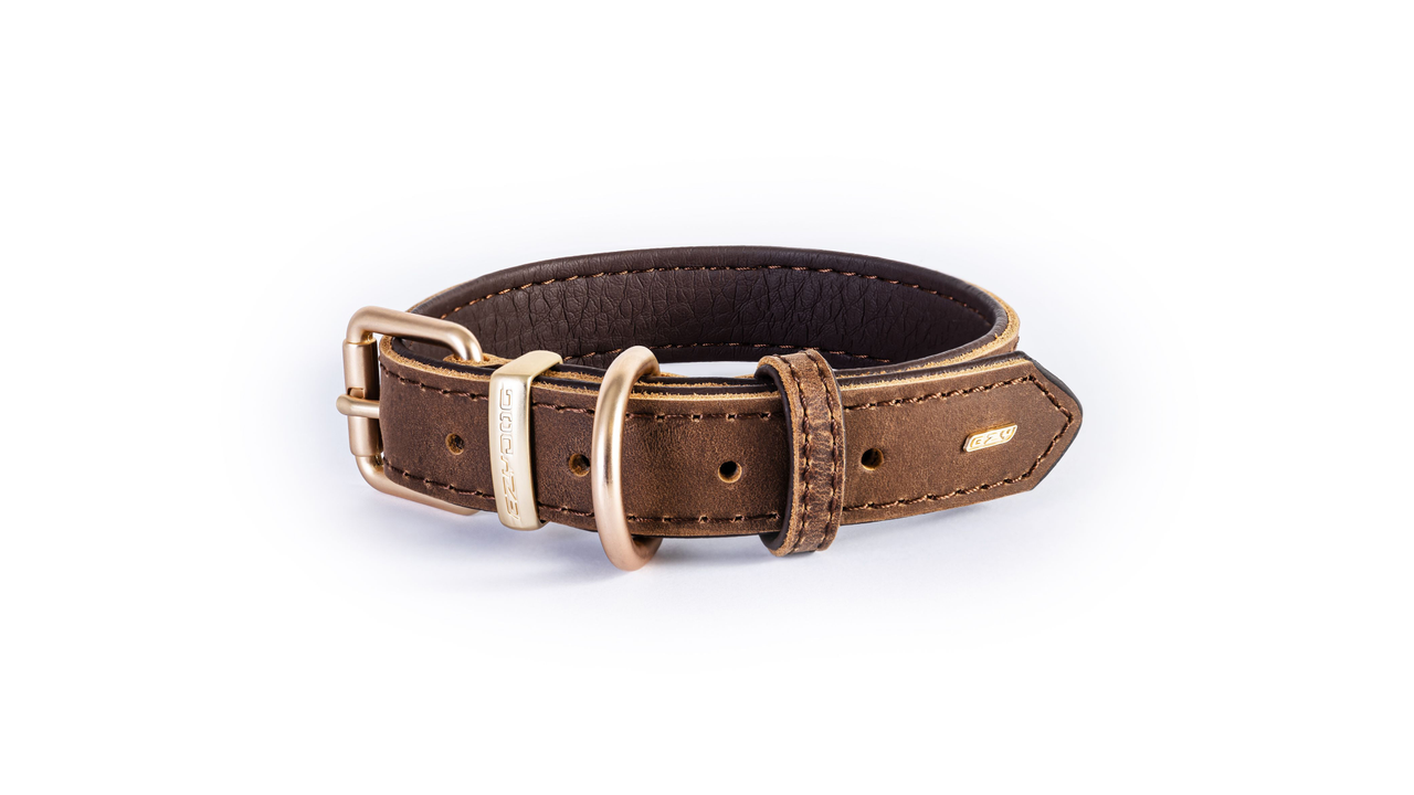 EzyDog Oxford Leather Dog Collar Brown