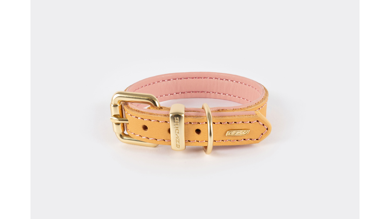 EzyDog Oxford Leather Dog Collar Blush