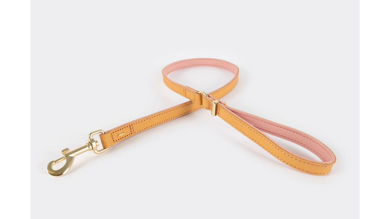 EzyDog Oxford Leather Dog Leash Blush 100cm