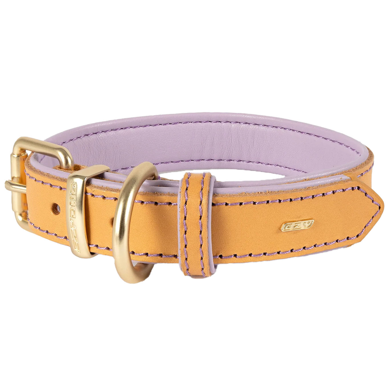 EzyDog Oxford Leather Dog Collar Lilac