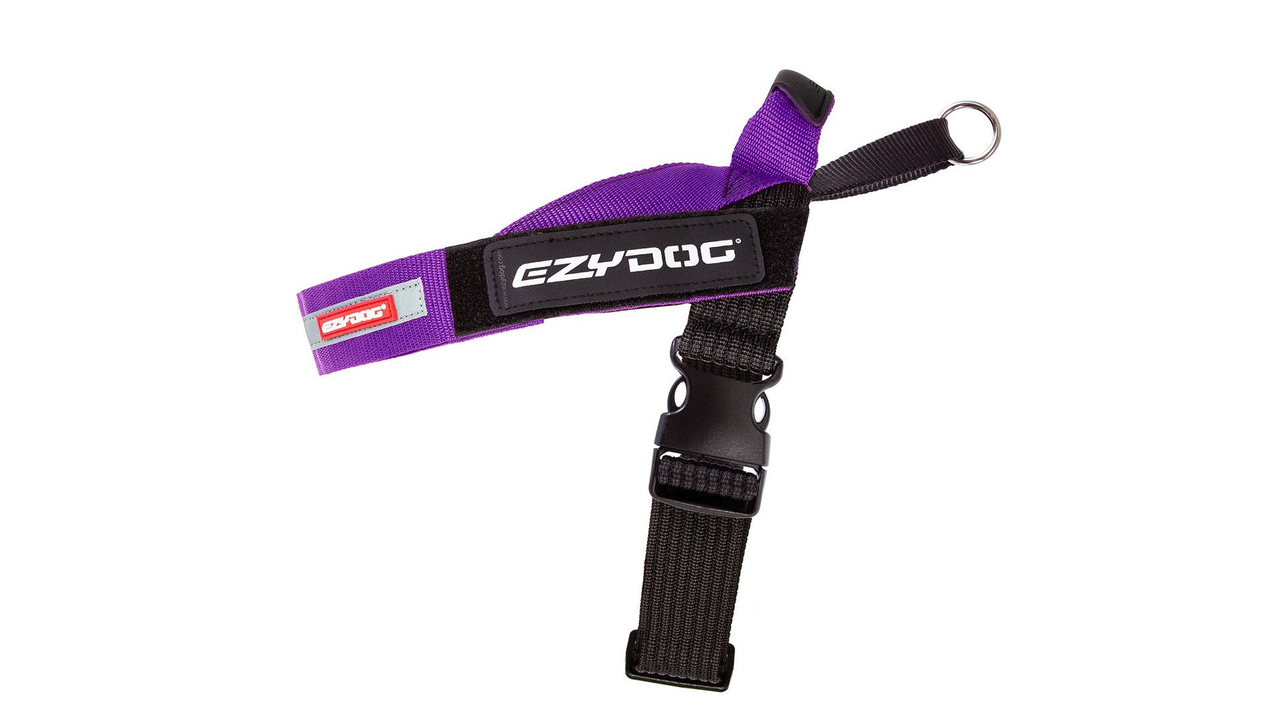 EzyDog Express Harness Purple