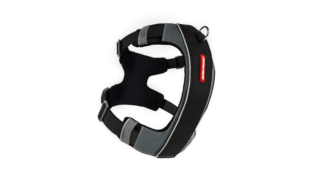 EzyDog X-Link Harness Black