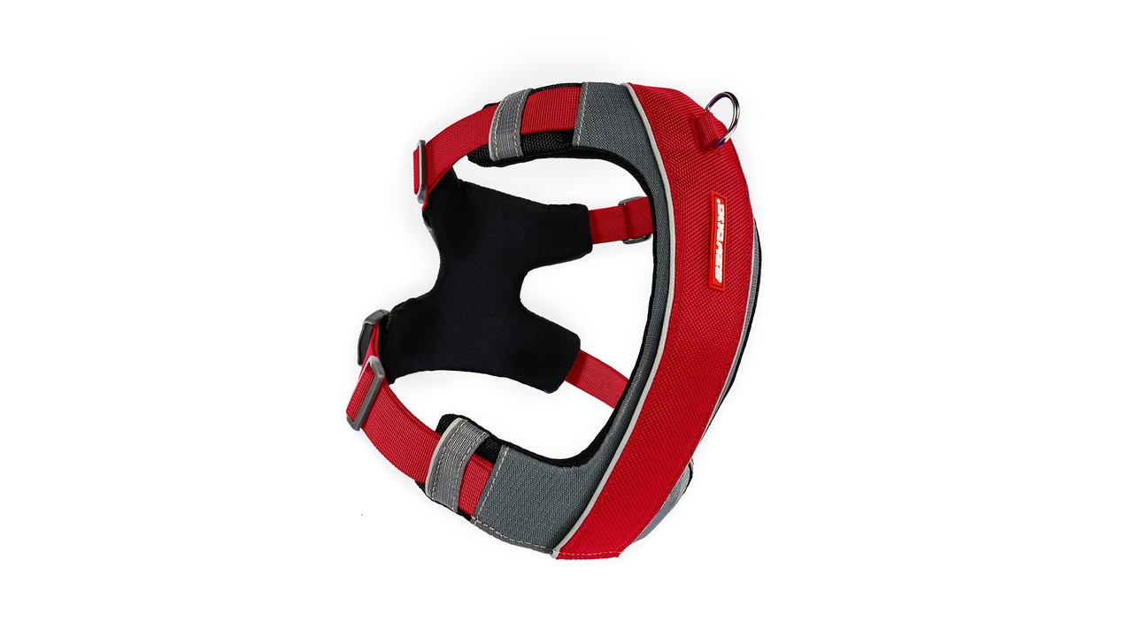 EzyDog X-Link Harness Red