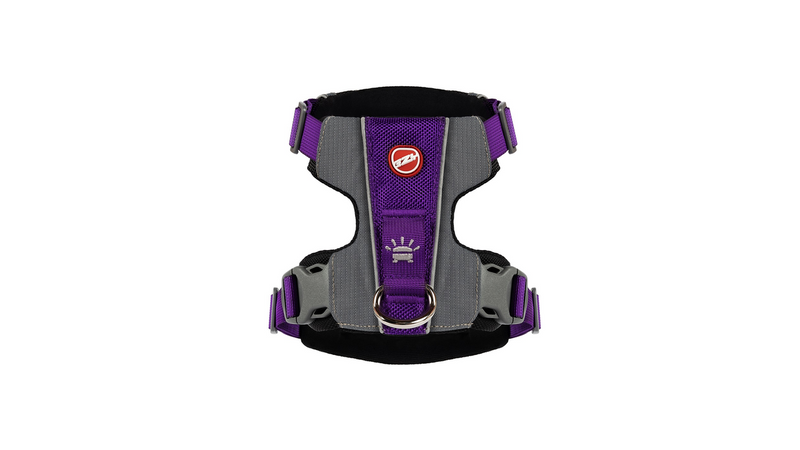 EzyDog X-Link Harness Purple