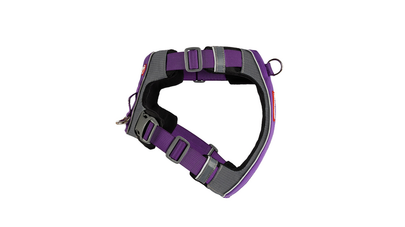 EzyDog X-Link Harness Purple