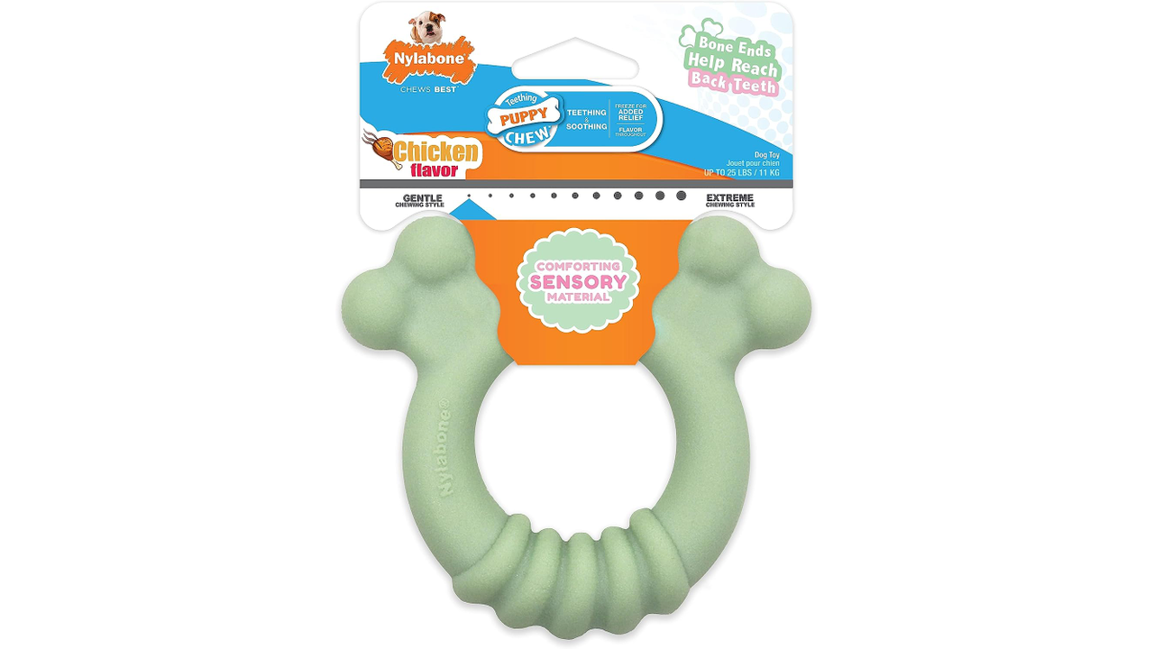 Nylabone Puppy Chew Tactile Ring Regular