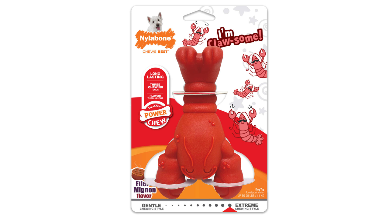 Nylabone Lobster Chew Regular