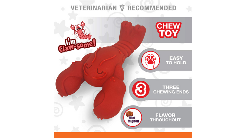 Nylabone Lobster Chew Souper