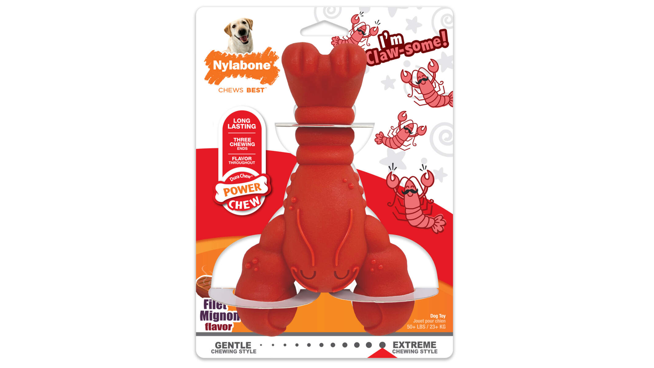 Nylabone Lobster Chew Souper