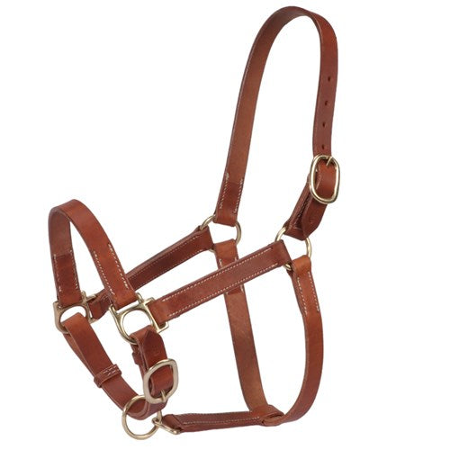 STC Fort Worth Leather Halter with Curb Adjustment