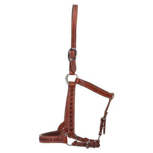 STC Fort Worth Mika Leather Halter