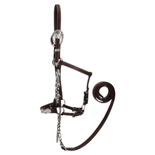 STC Fort Worth Ohio Show Halter