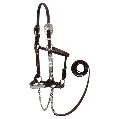 STC Fort Worth Ohio Show Halter