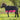 STC Piccolo Mini 600D Turnout Rug - Navy/Pink