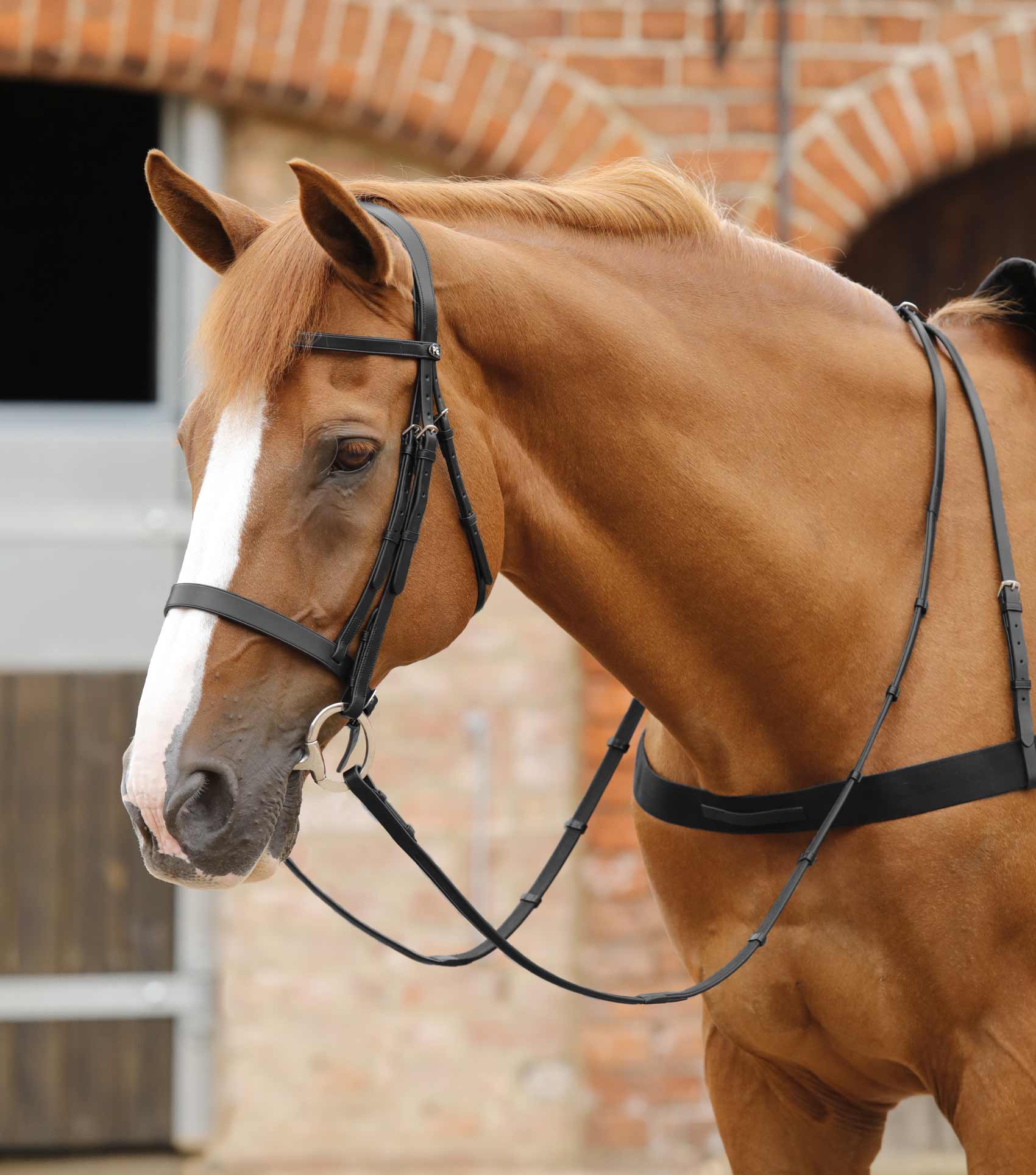 Premier Equine Salvatore Rubber & Leather Grip Reins