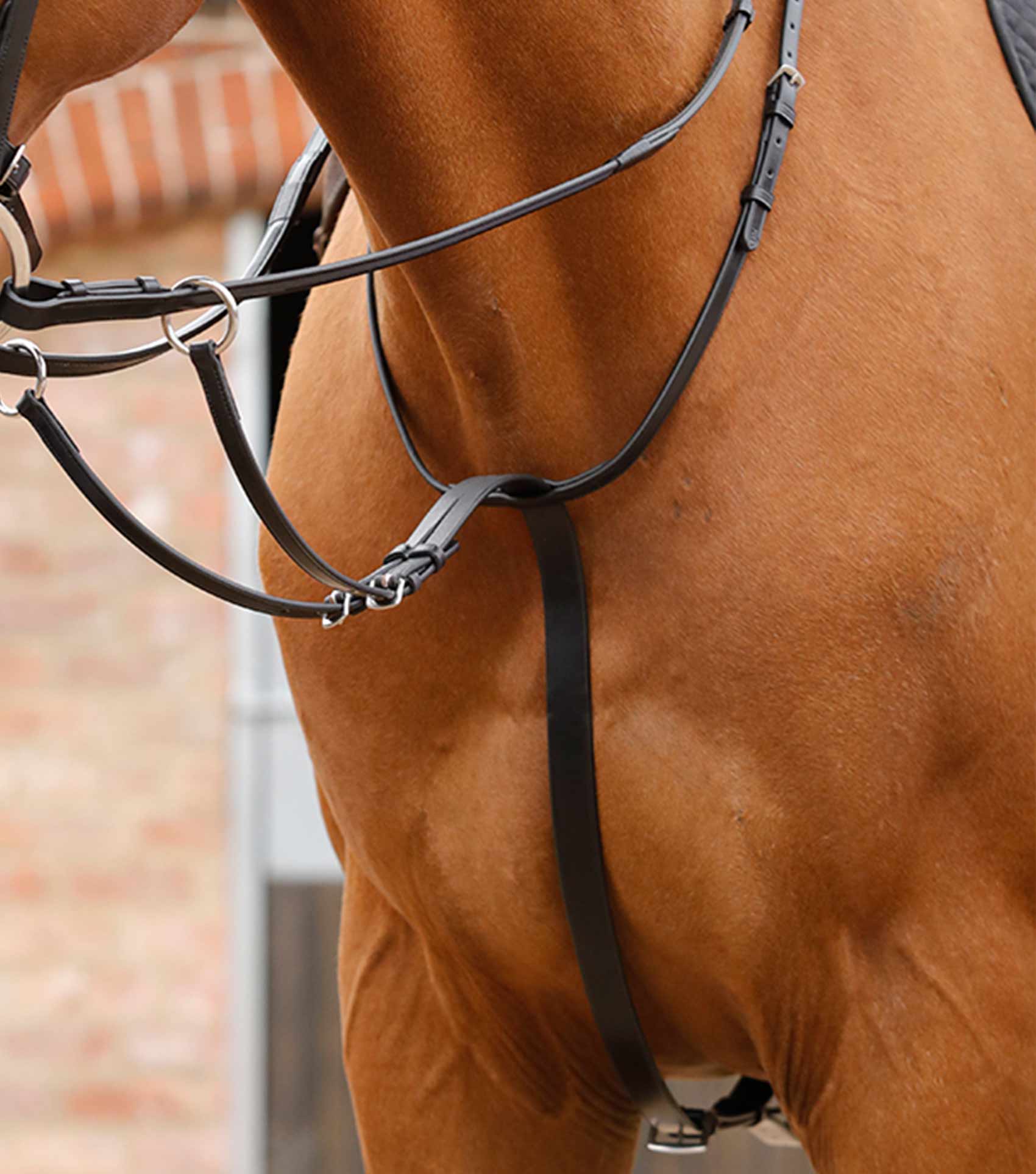 Premier Equine Santadi Adjustable Running Martingale