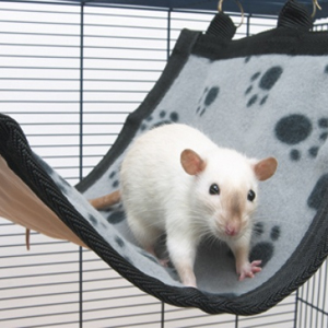 Savic Relax De Luxe Flat - Small Animal Toys & Hides 