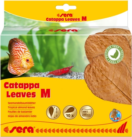 Sera Catappa Leaves 10 Pack - Fish Tank Decorations - Small - 10 - 15cm-medium - 16 - 20cm-XX-Large - 30 - 35cm