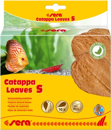 Sera Catappa Leaves 10 Pack - Fish Tank Decorations - Small - 10 - 15cm-medium - 16 - 20cm-XX-Large - 30 - 35cm
