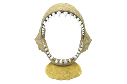 Shark Jaw Swim Through Ornament - Fish Tank Decorations 