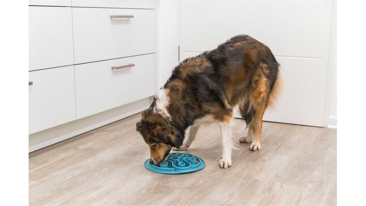 Slow Feeding Mat 28cm - Dog Bowls & Feeding Accessories 