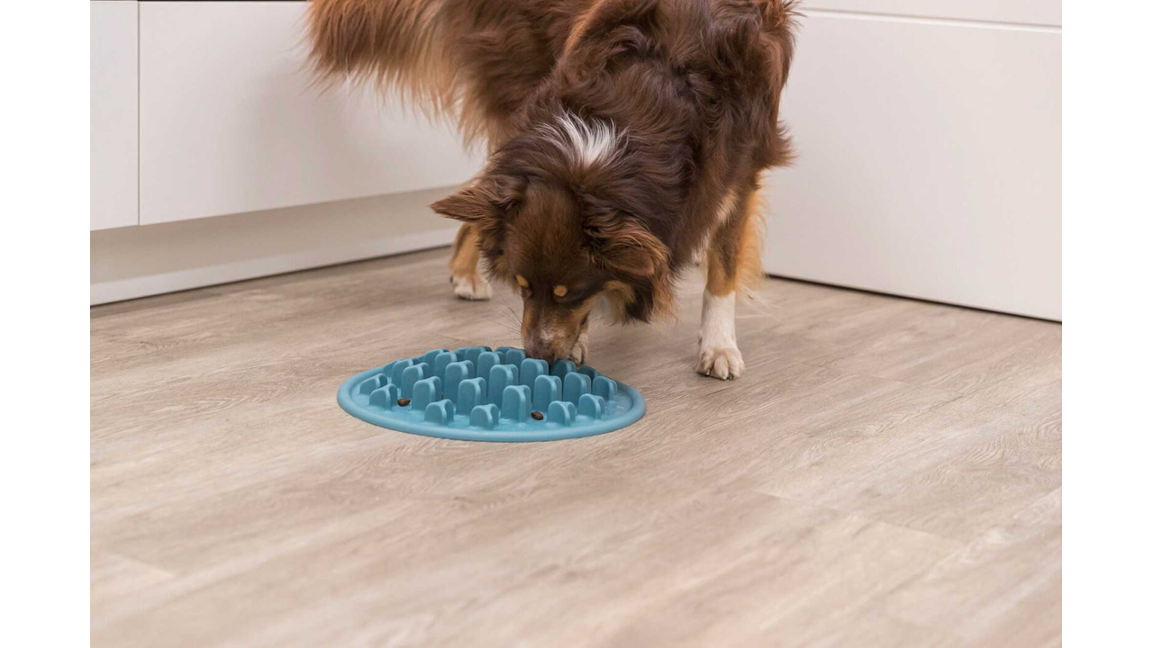 Slow Feeding Mat Pillars 35cm - Dog Bowls & Feeding Accessories 