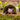 Small Animal Treat Log Hideout - Small Animal Toys & Hides - Default Title