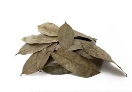 Soursop Leaves 10 Pack - Fish Tank Decorations - Default Title