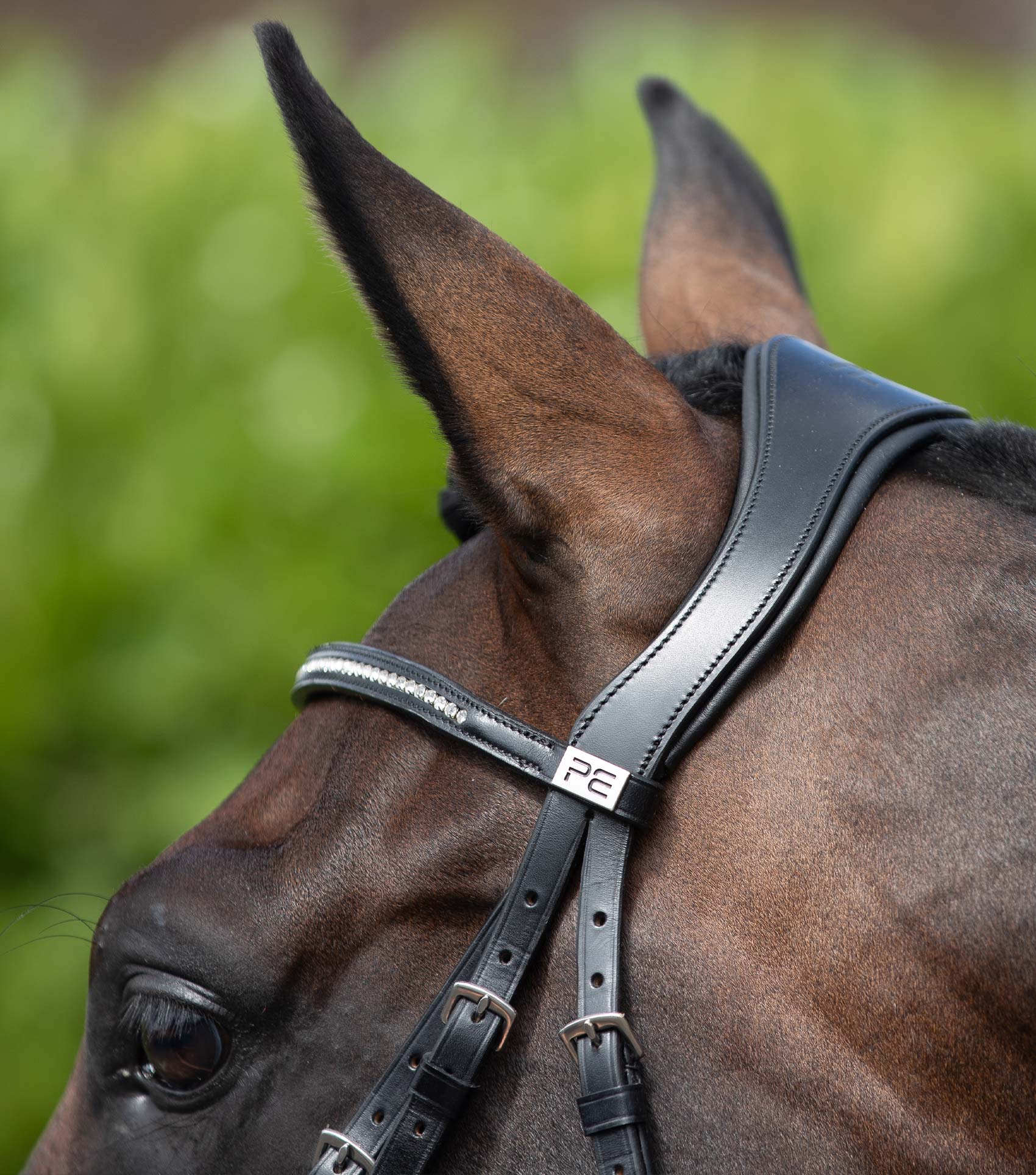 Premier Equine Anatomical Shaped Headpiece