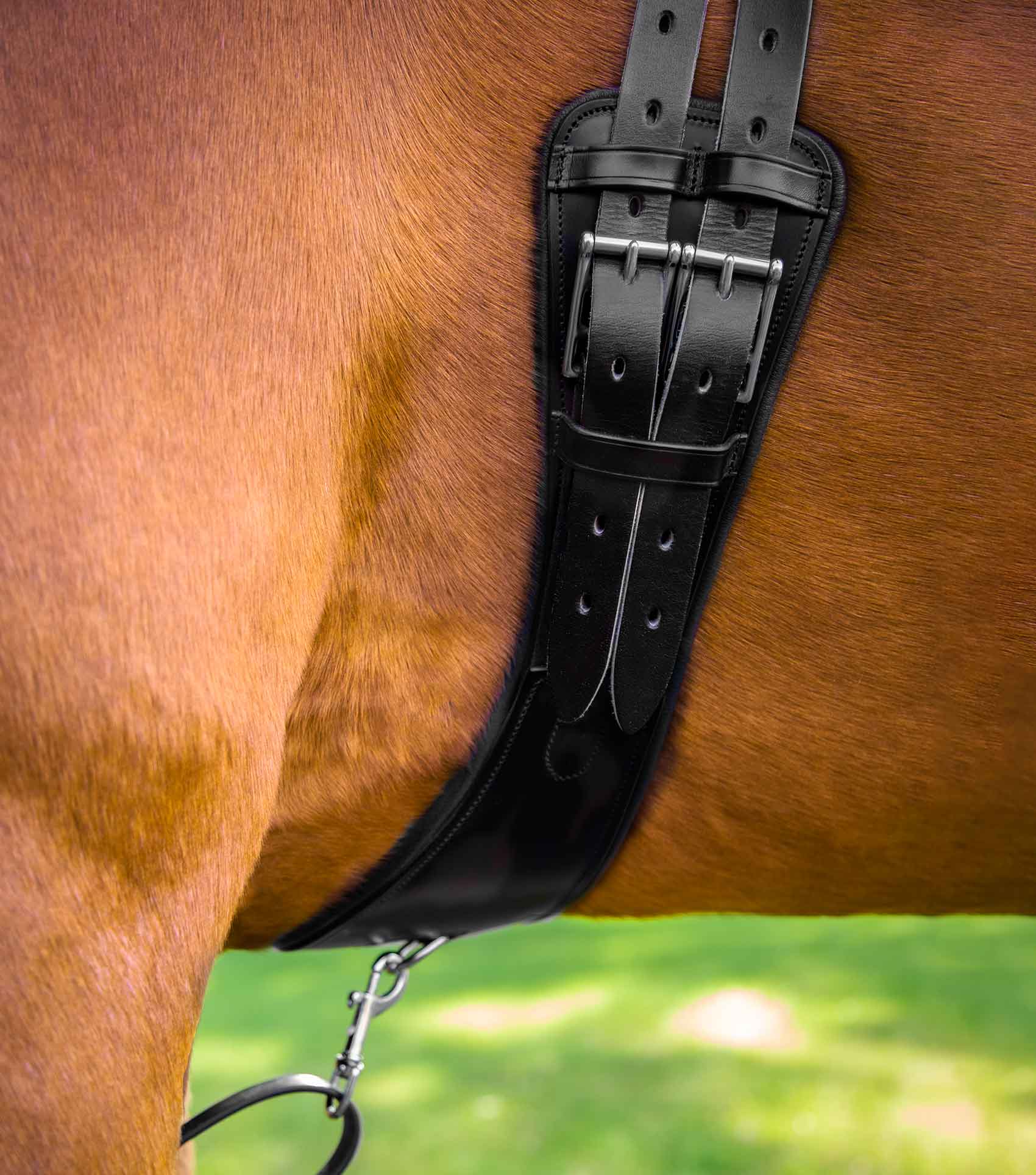 Premier Equine Tamarro Anatomic Leather Girth