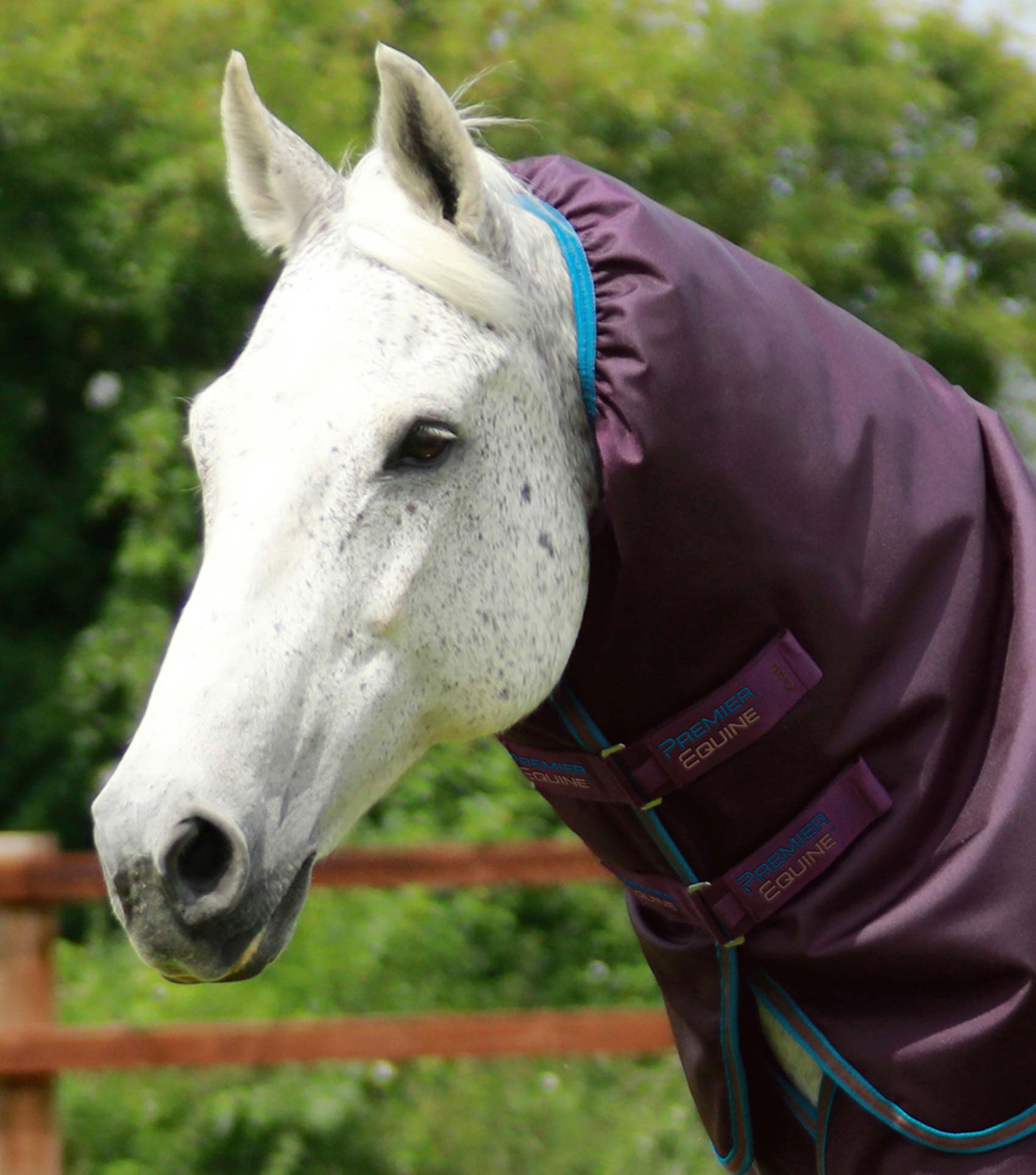 Premier Equine Titan 200g Turnout Rug with Snug-Fit Neck Cover