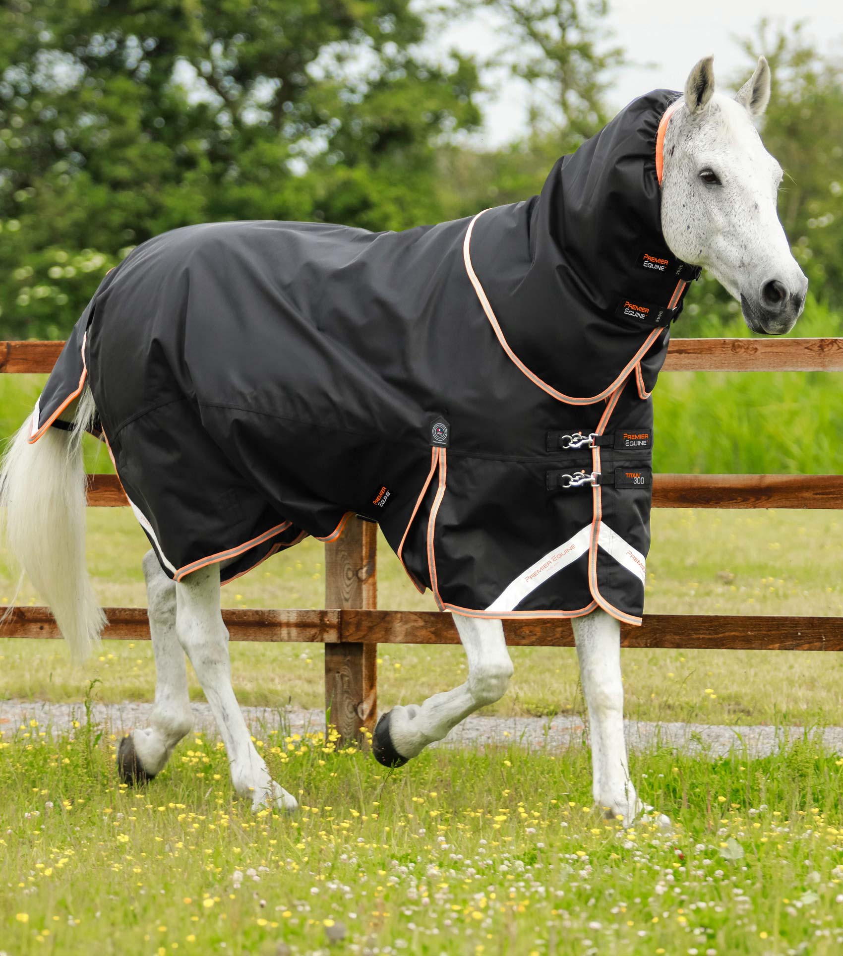 Premier Equine Titan 300g Turnout Rug with Snug-Fit Neck Cover