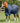 Premier Equine Titan 450g Original Turnout Rug