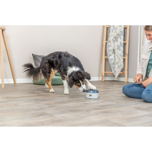 Trixie Dog Activity Buzzer Level 1 - Dog Toys 