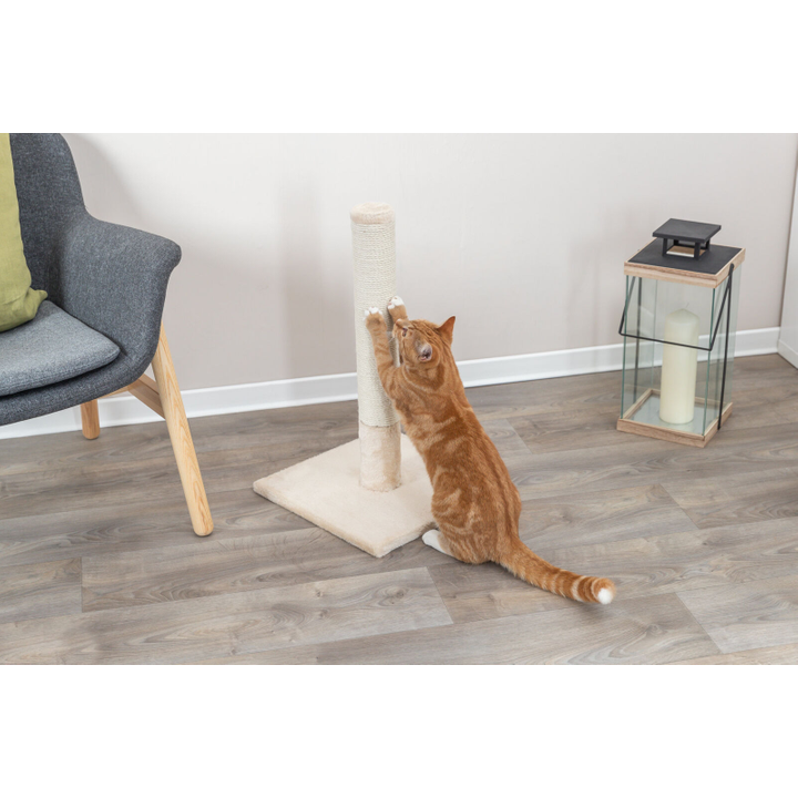 Trixie Scratching Post Batres 62cm - Cat Scratchers 
