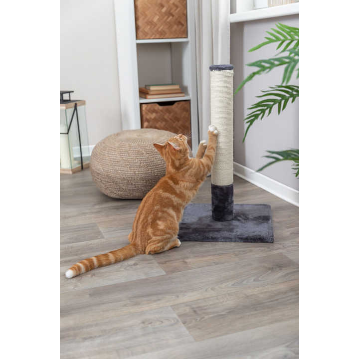 Trixie Scratching Post Batres 62cm - Cat Scratchers 