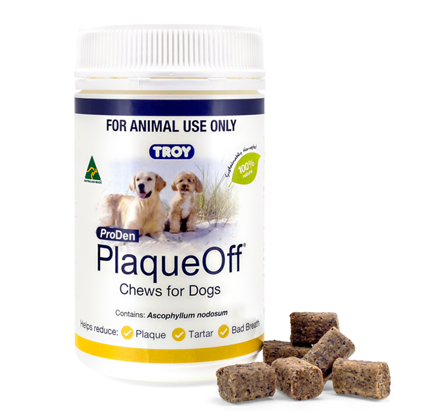 Troy Plaque Off Chews for Dogs 100's - Dog Health & Wellbeing 
