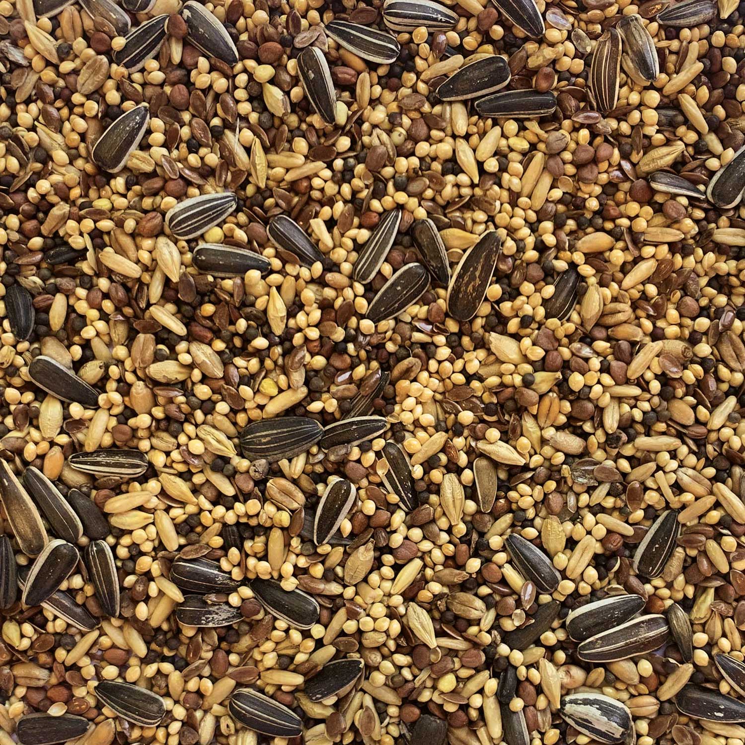 Tui Aviary Mix 10kg - Bird Food & Treats 