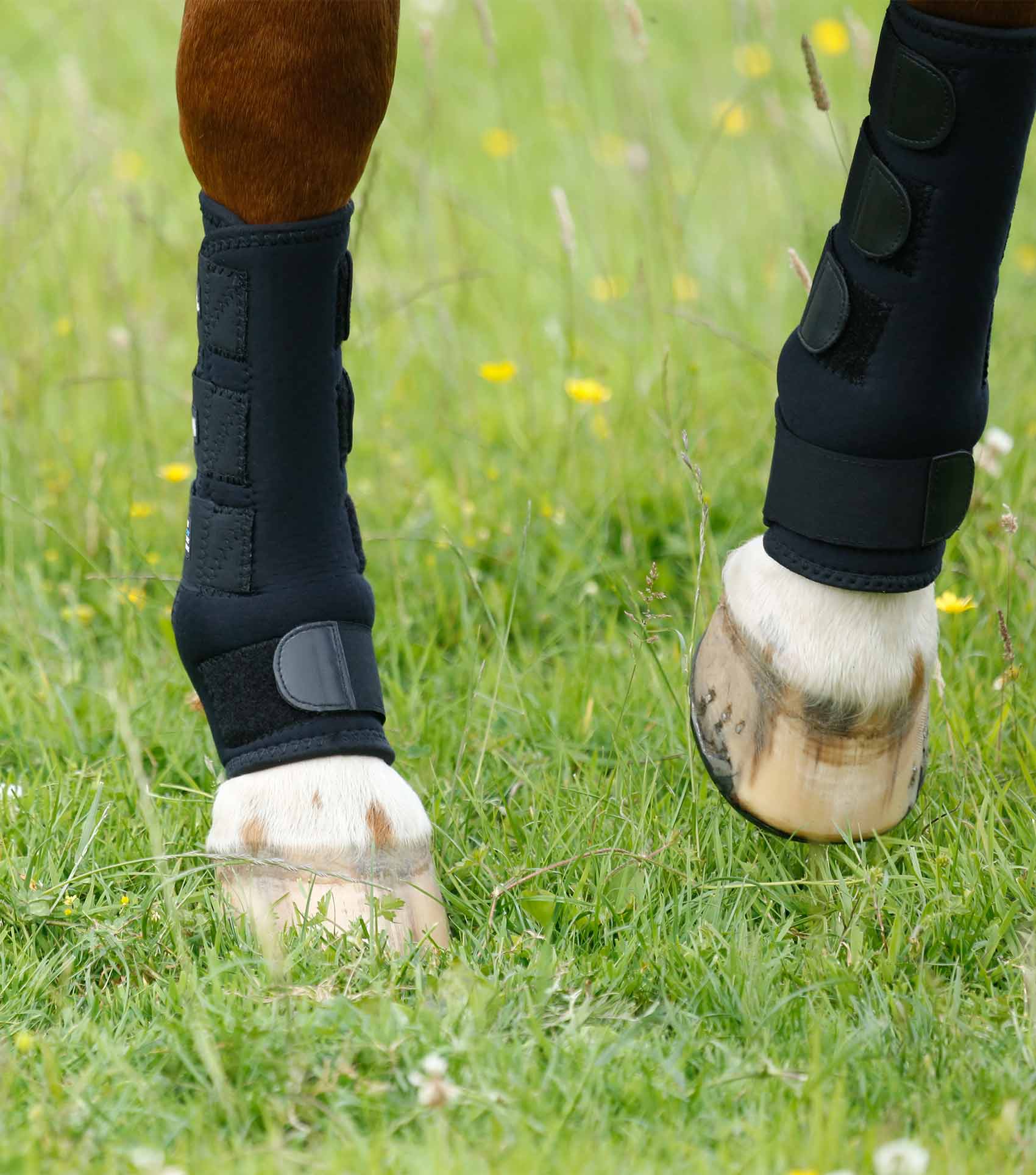 Premier Equine Turnout Boots