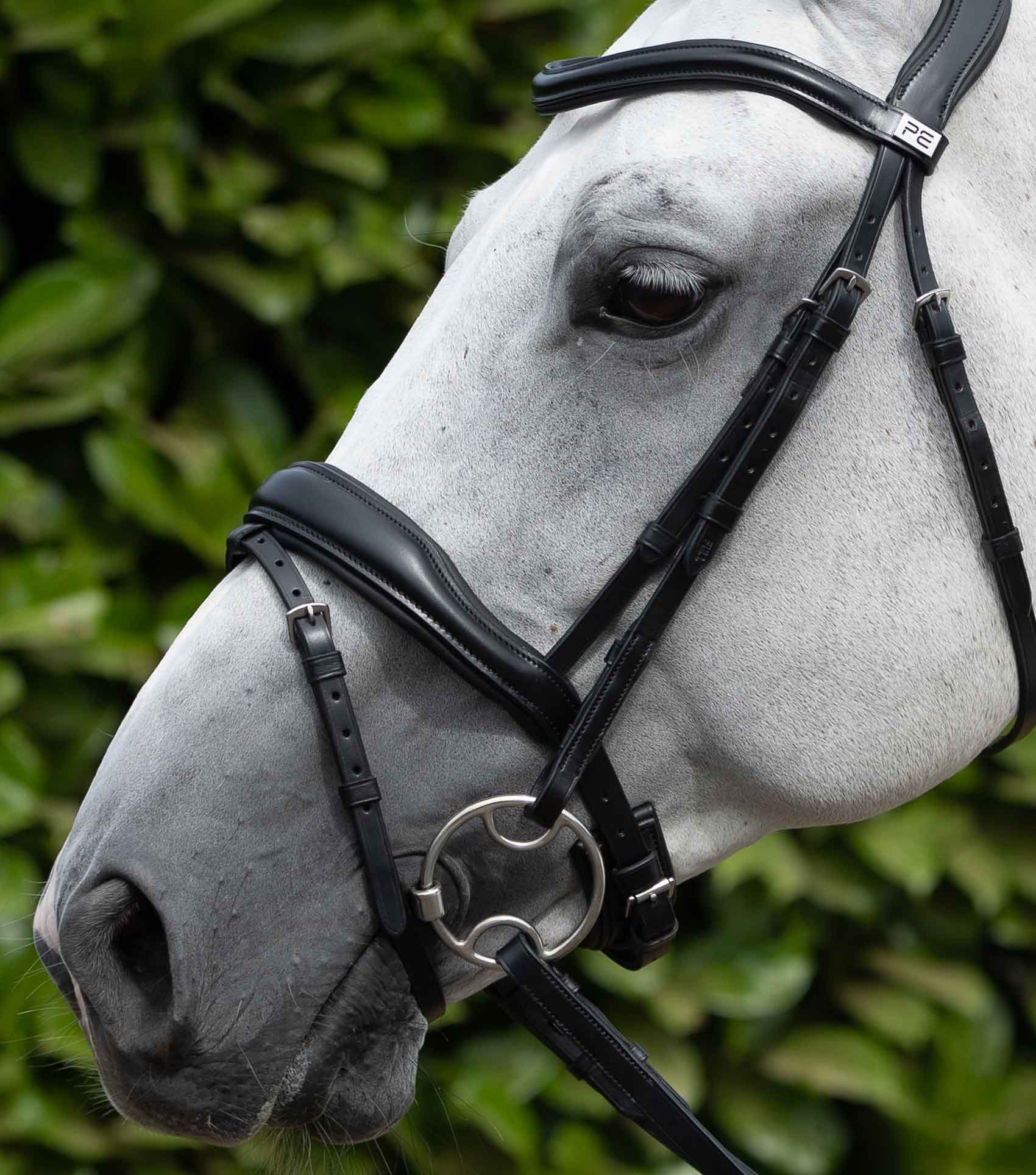 Premier Equine Cheek Pieces (Pair)