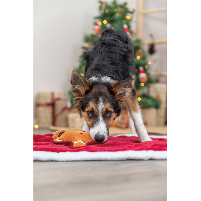 Xmas Gingerbread 22cm Dog Toy