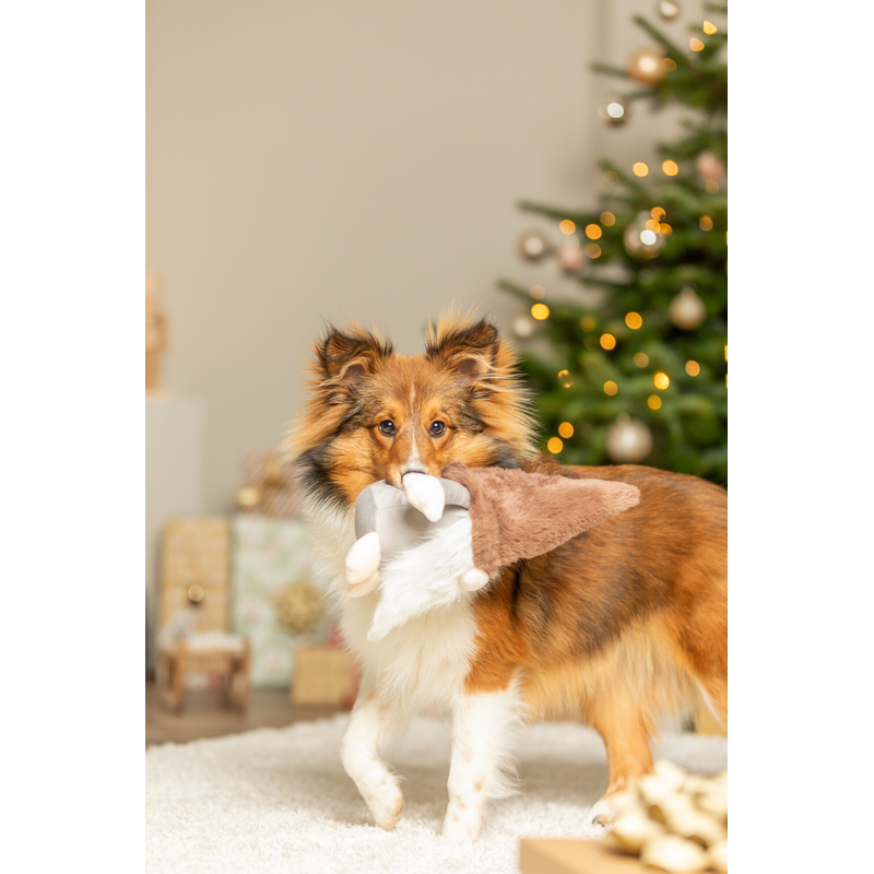 Xmas Gnome 30cm Dog Toy - Dog Toys - Default Title