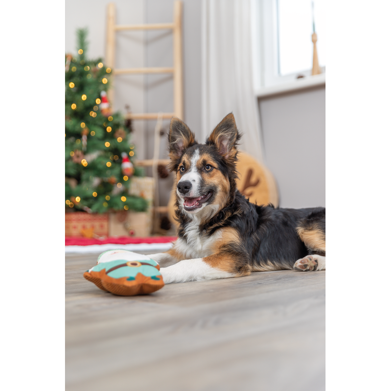 Xmas Santa 22cm Dog Toyv - Dog Toys 