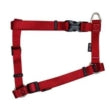 Zeus Figure-H Dog Harness - Dog Collars, Leashes & Harnesses 